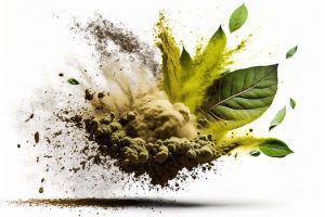 Harness the Power of Kratom: Elevate Your Focus and Cognitive Performance