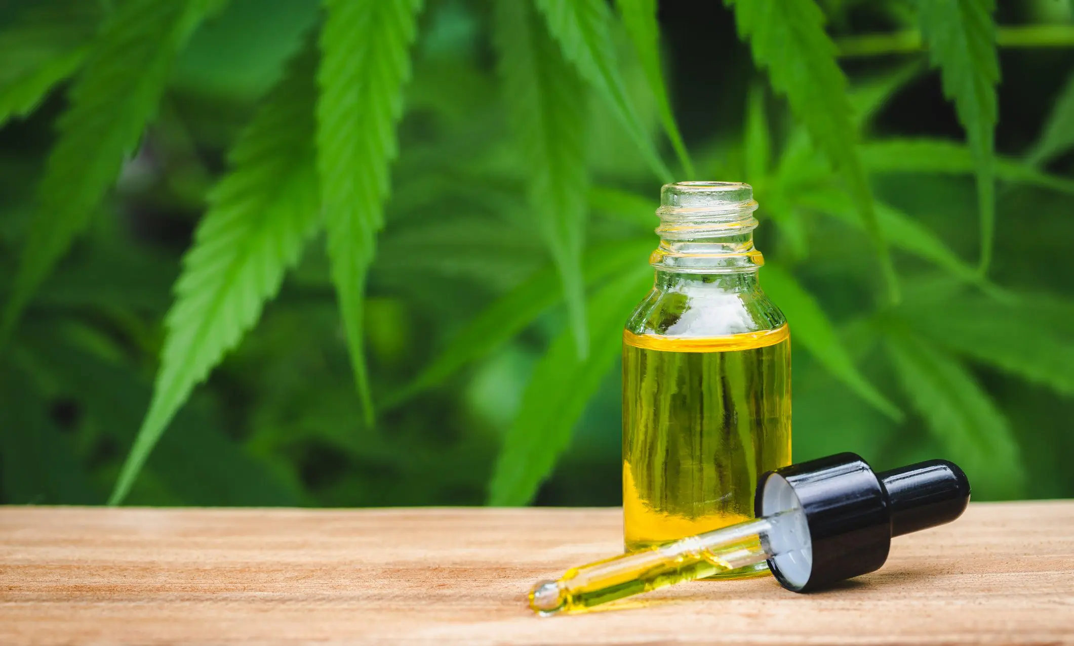 Best reviewed CBD Oil in Canada